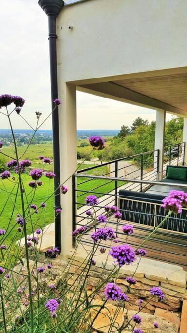La Maison De L'Ecu : Charme Et Vue Incroyable Μπον Εξωτερικό φωτογραφία