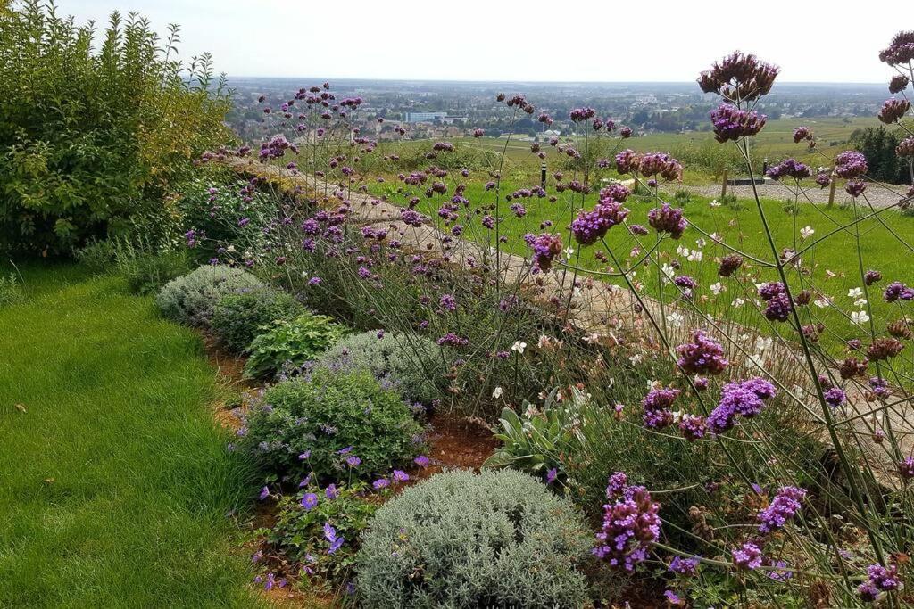 La Maison De L'Ecu : Charme Et Vue Incroyable Μπον Εξωτερικό φωτογραφία